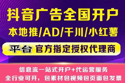搜索引擎优化（SEO）与竞价广告（SEM）的对比案例